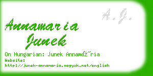 annamaria junek business card